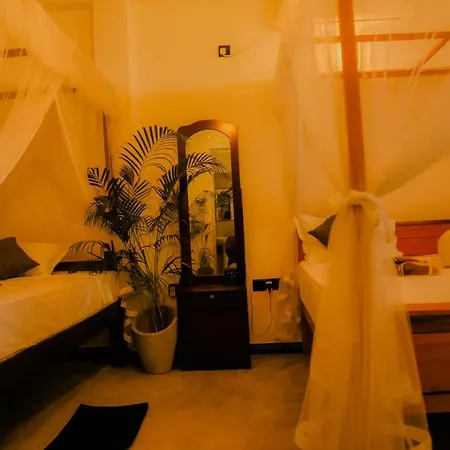 Ruwan Jungle Homestay Mirissa Exterior photo
