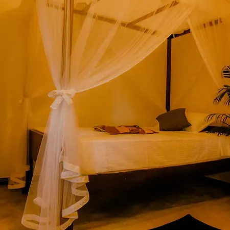 Ruwan Jungle Homestay Mirissa Exterior photo