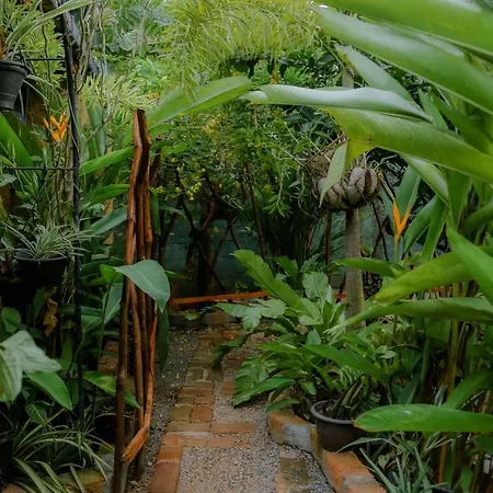 Ruwan Jungle Homestay Mirissa Exterior photo