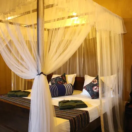 Ruwan Jungle Homestay Mirissa Exterior photo